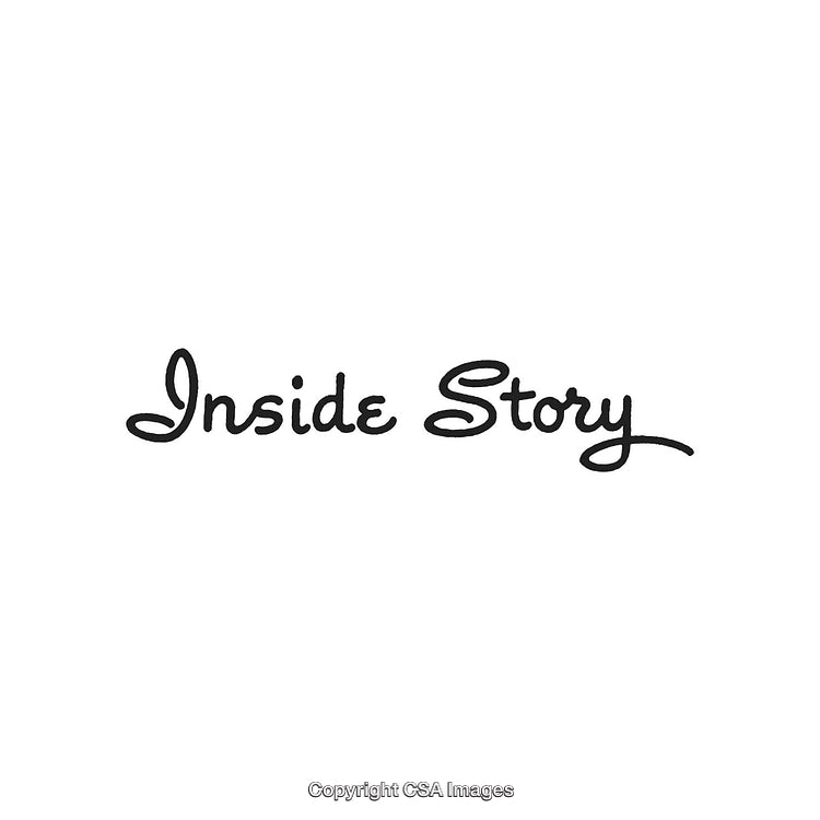 Elegant Black Script Logo Reading Inside Story on a Clean White Background