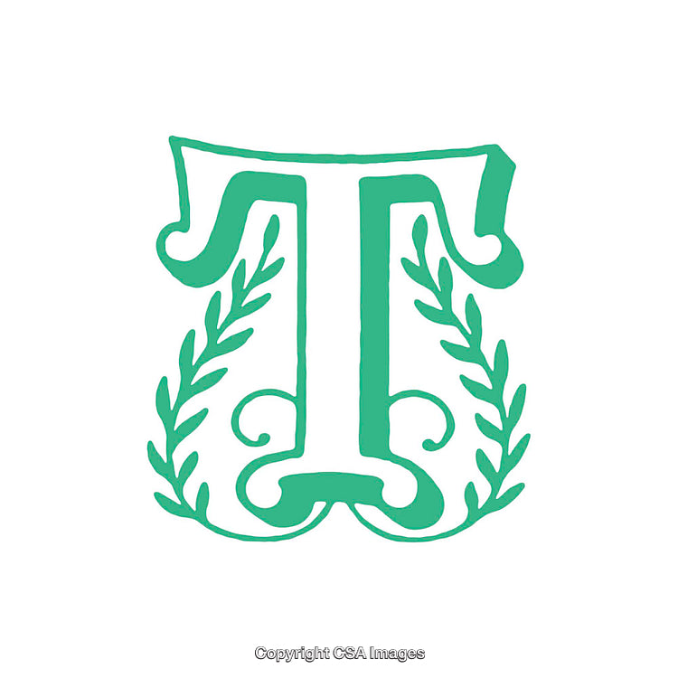 Intricate T Letterform with Elegant Decorative Elements and Floral Motifs