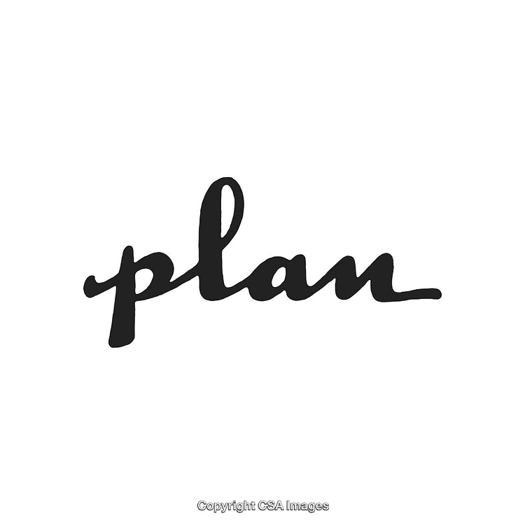 Black Handwritten Text Depicting the Word 'Plan' on a White Background