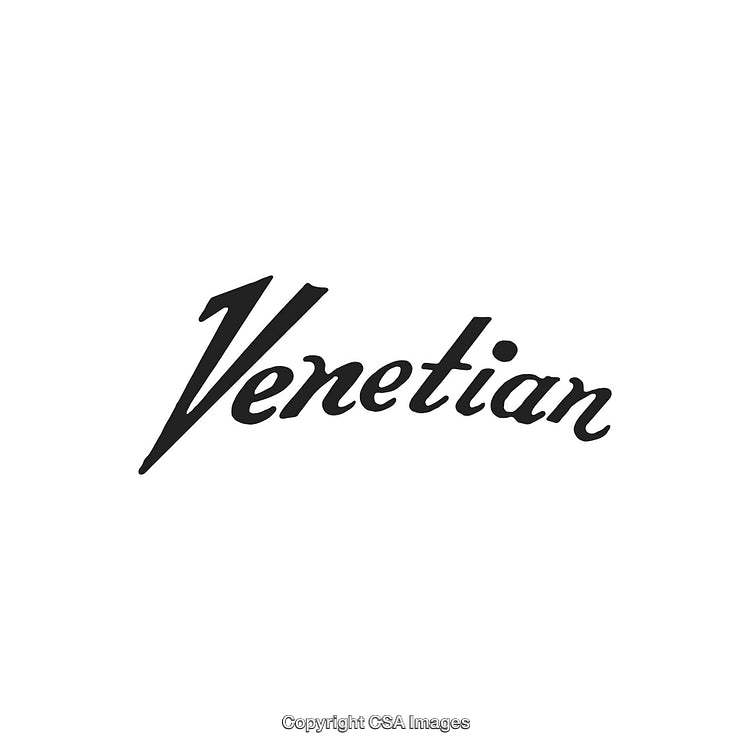 Elegant Black Typography Design Featuring the Word 'Venetian' on a White Background