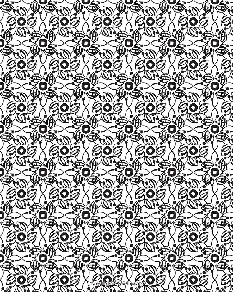 Black and White Ornament Pattern with Floral Geometric Design