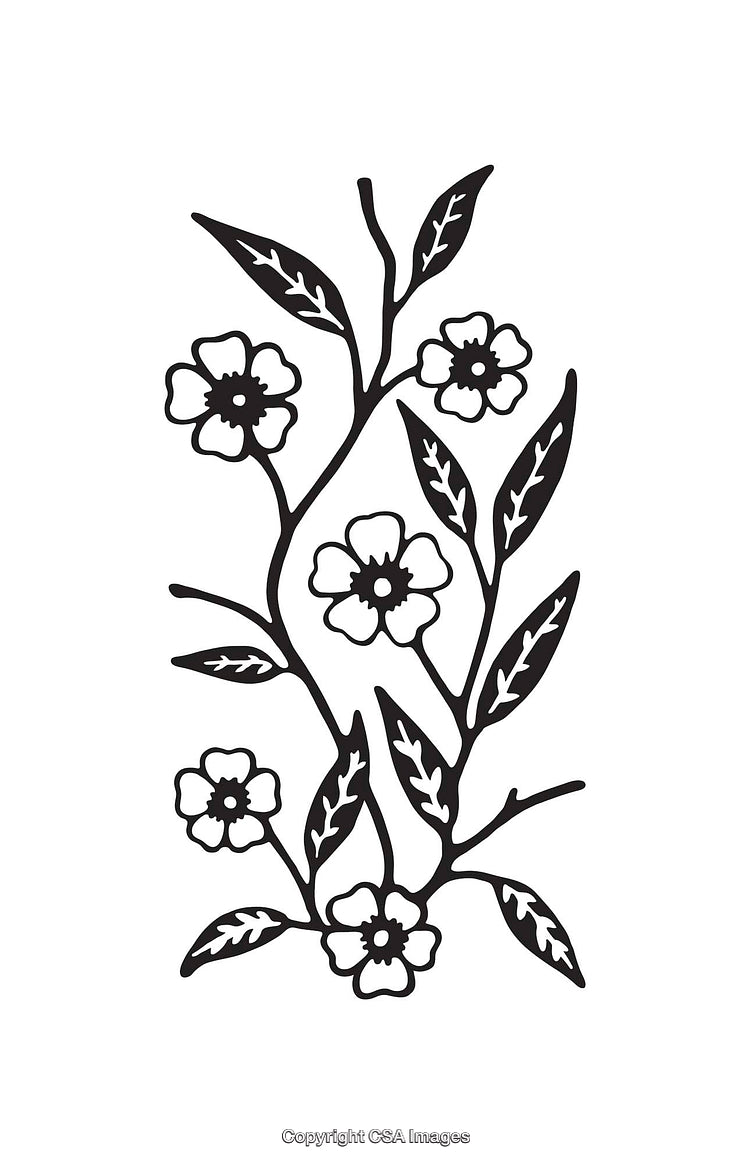 Black and White Line Art Illustration of Floral Vines with Leaves and Flowers