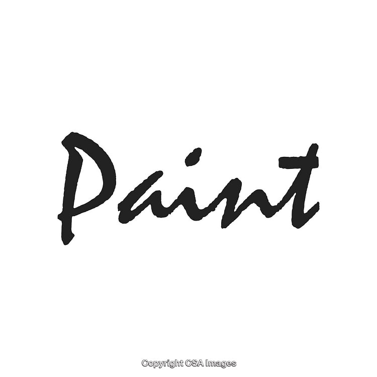 Handwritten Script of the Word 'Paint' in Black on White Background