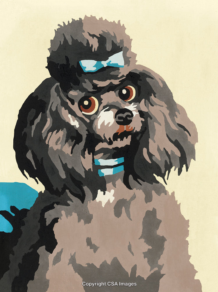Cute Painted Poodle Portrait in a Stylish Blue Ribbon Setting