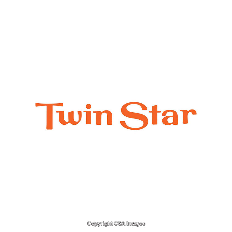Minimalist Twin Star Logo Design in Bold Orange Typography on White Background