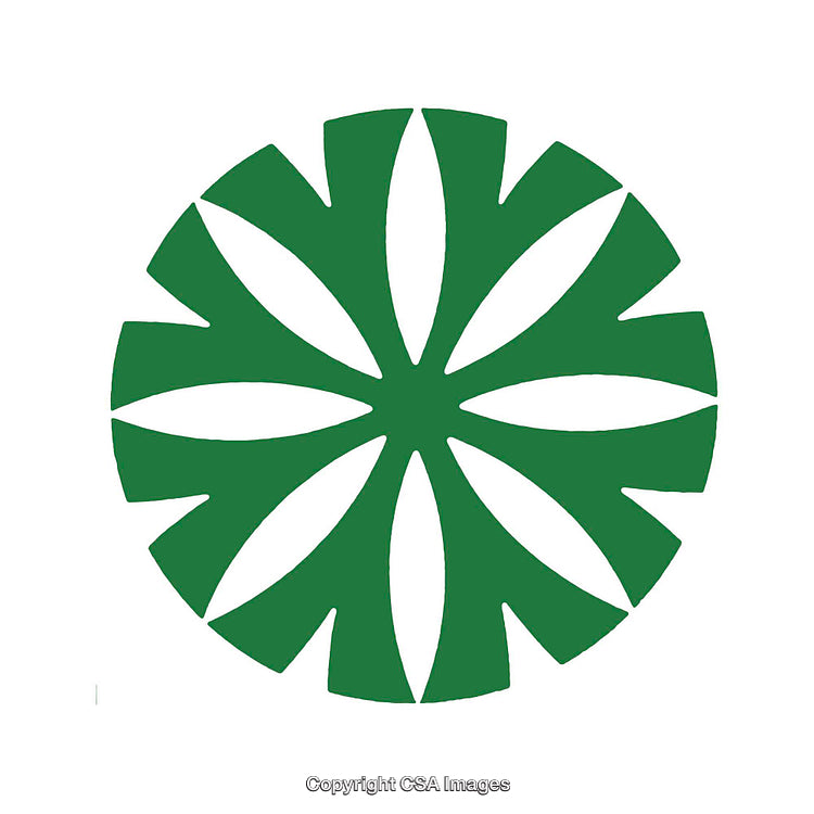 Abstract Green Floral Pattern Design on White Background