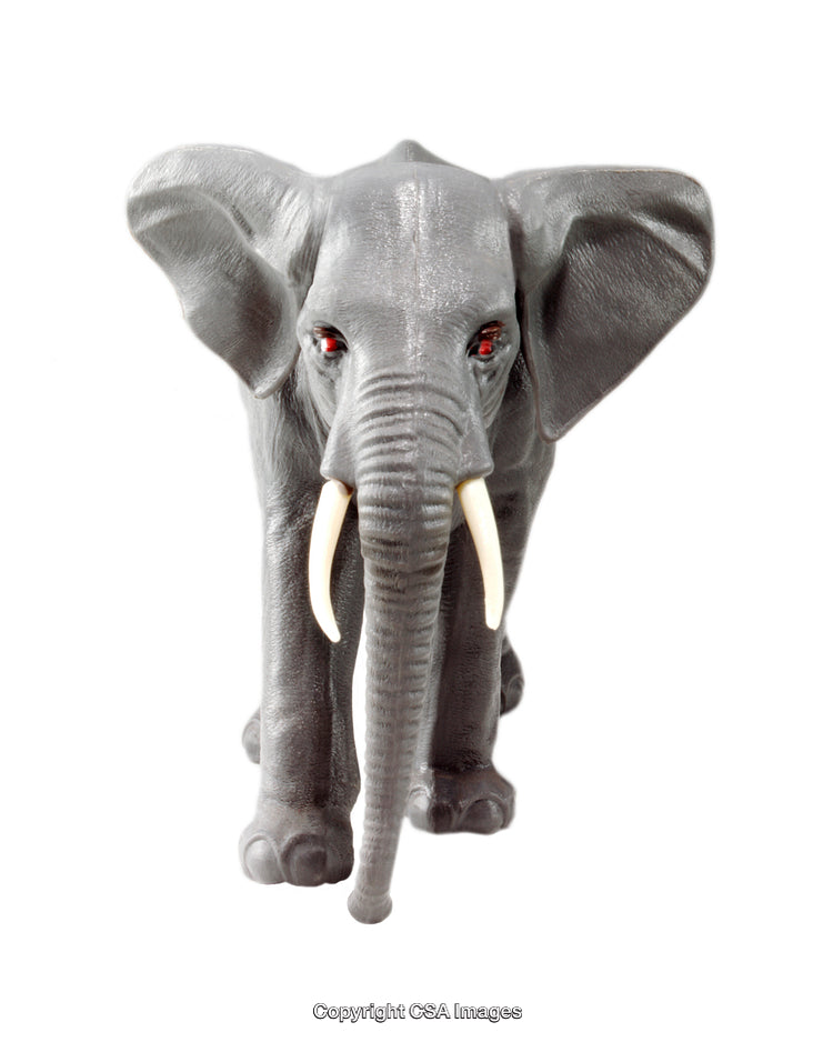 Plastic Elephant Figurine Isolated on White Background with Detailed Features