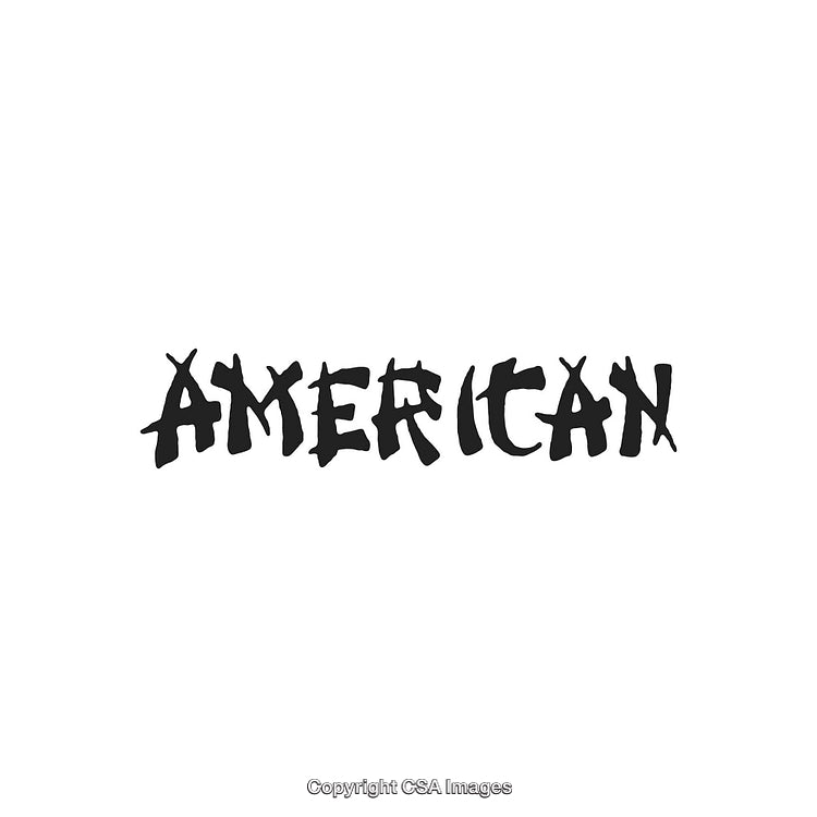 Stylized Black Font Design of American Text on White Background