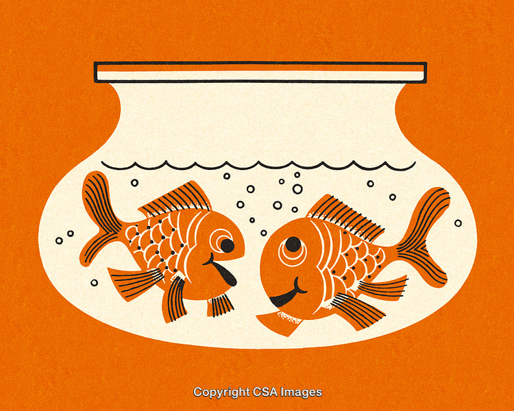 Colorful Illustration of Two Fish in a Bowl with Retro Style
