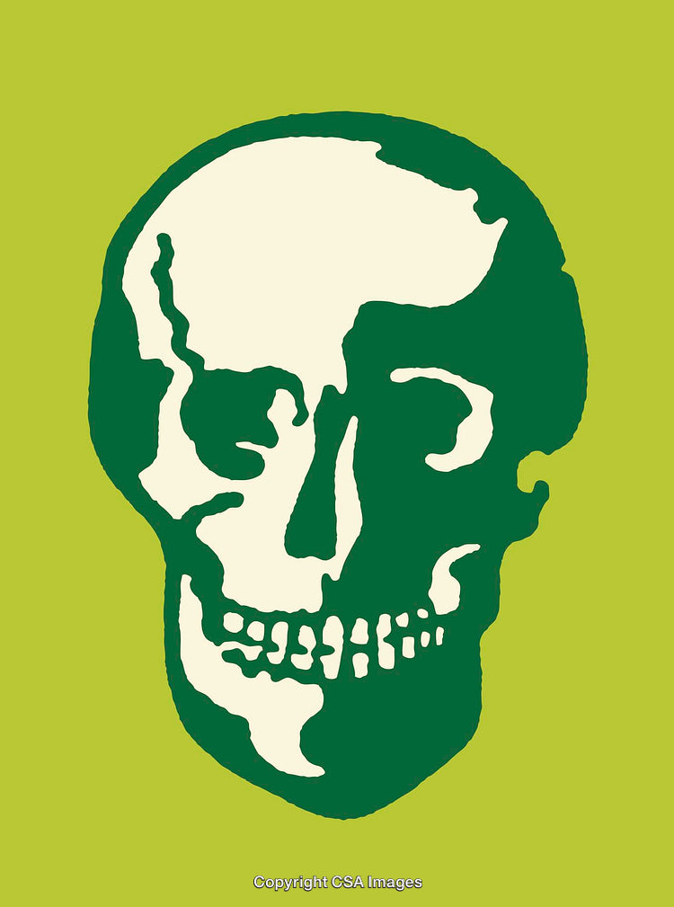 Minimalist Green and Cream Sketched Skull Artwork for Creative Decor