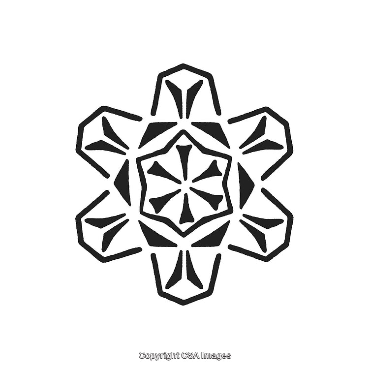 Intricate Geometric Black And White Snowflake Design Pattern