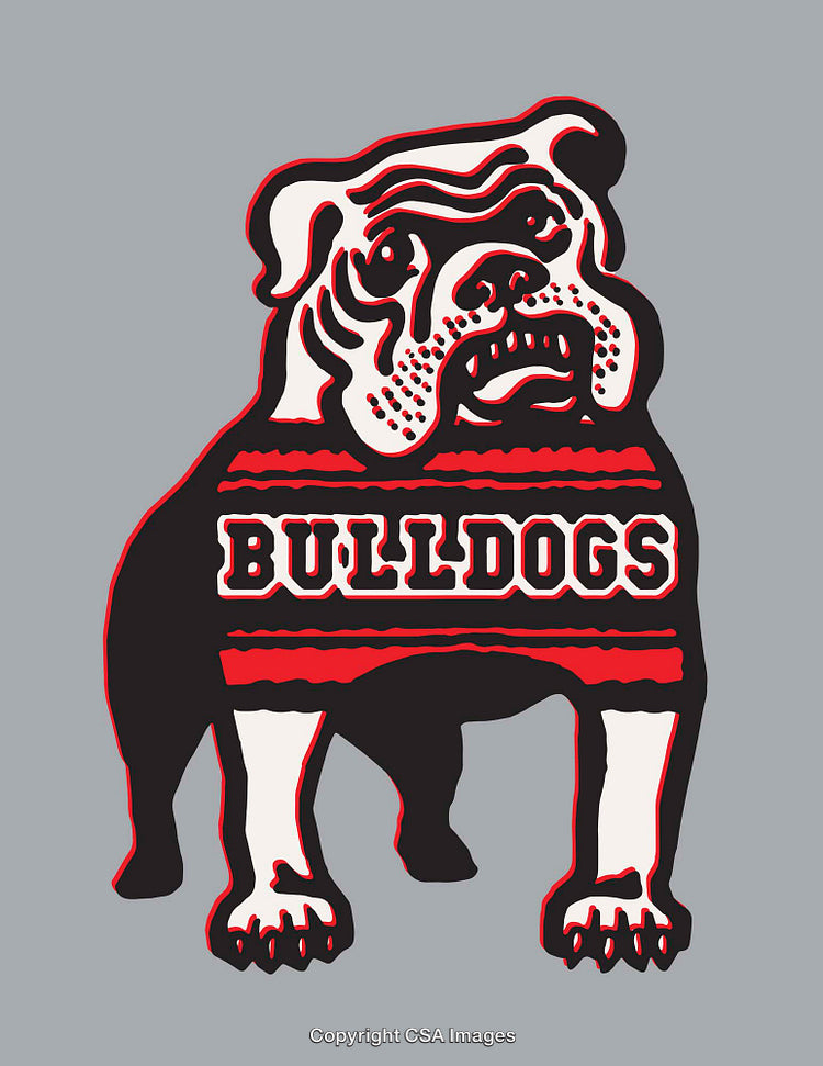 Stylized Bulldog Illustration with Bold Colors and Graphic Text