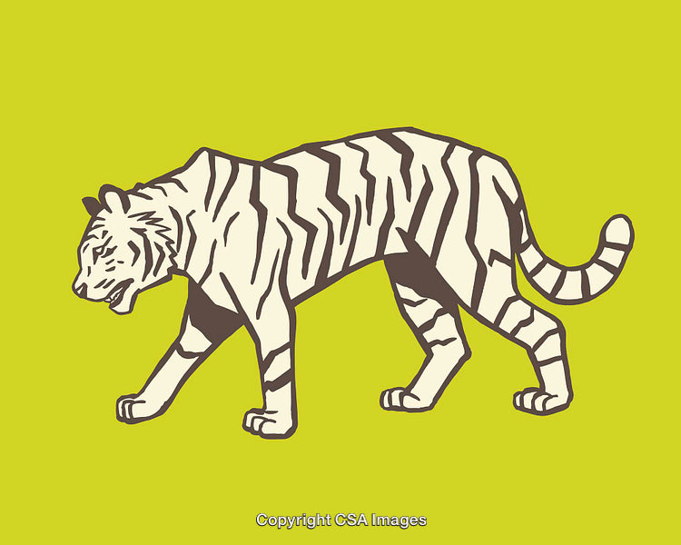 Stylized White Tiger Line Art Illustration on Vibrant Yellow Background
