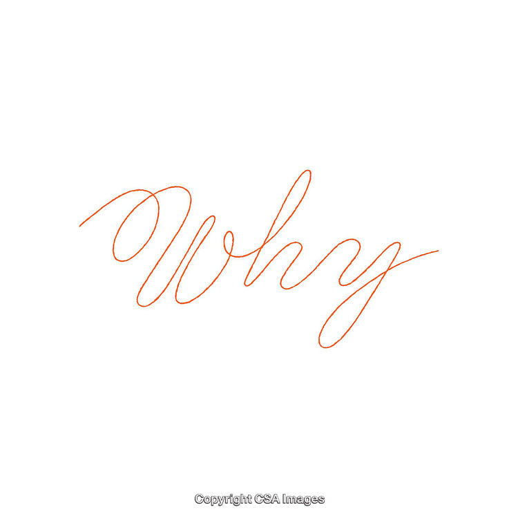 Elegant Script Why Text in Vibrant Orange on a White Background