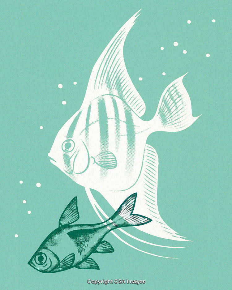 Artistic Illustration of Two Fish Against an Aquatic-Themed Background
