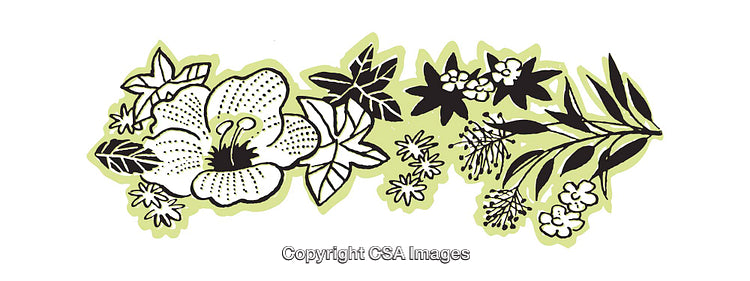 Botanical Illustration Featuring Colorful Flowers and Leaves in Decorative Style