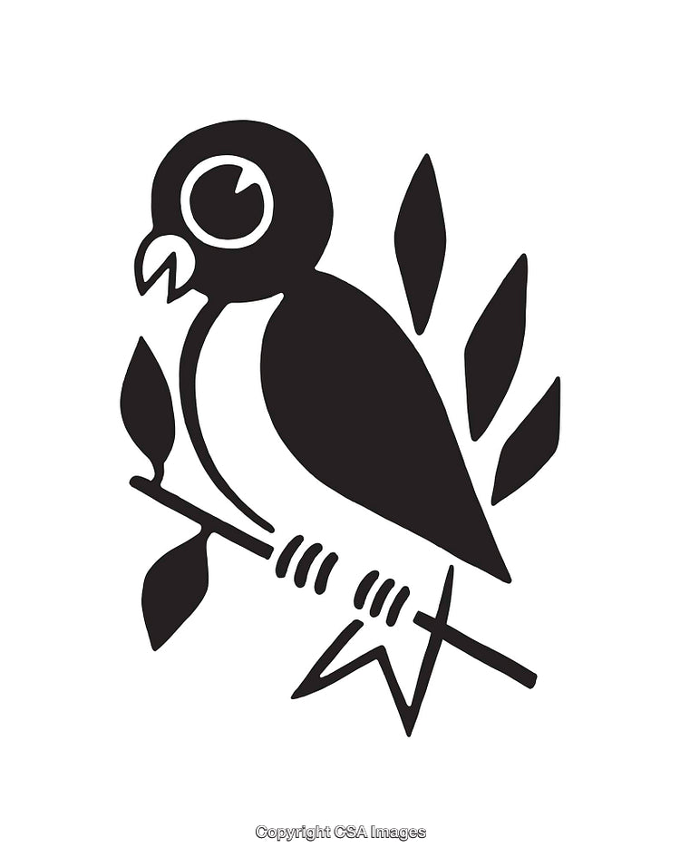 Monochrome Line Art Illustration of a Parrot On a Branch