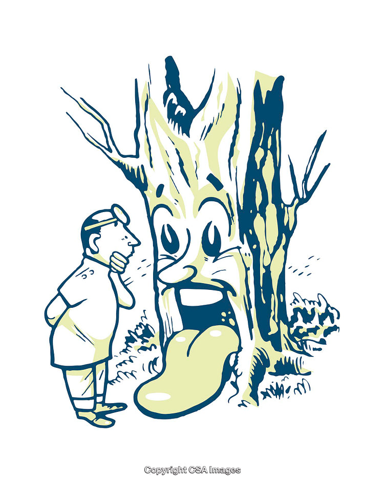 Whimsical Doctor Examines Animated Tree in Surreal Cartoon Illustration