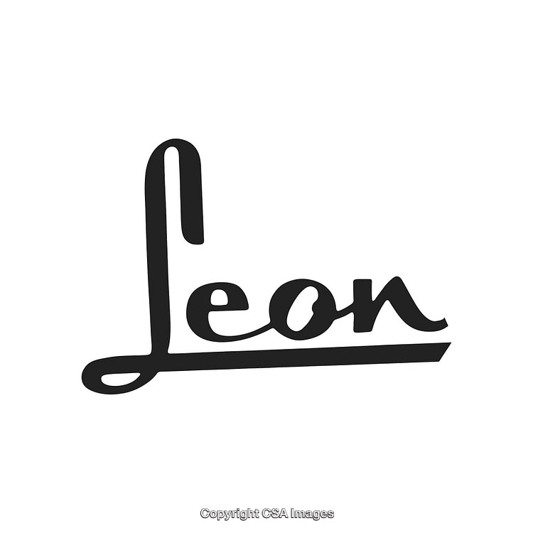 Leon Handwritten Script Logo Design With White Background