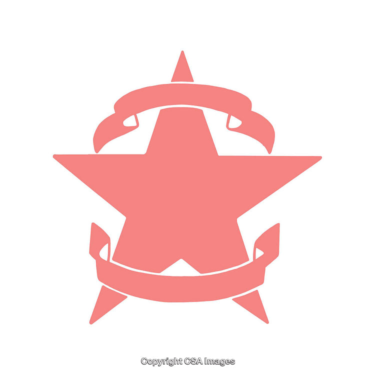 Pink Star Emblem with Decorational Ribbons on White Background