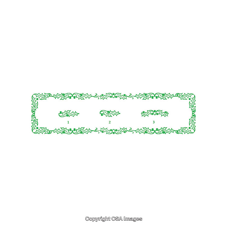Elegant Holly-Themed Border Decoration with Intricate Festive Elements and Green Design