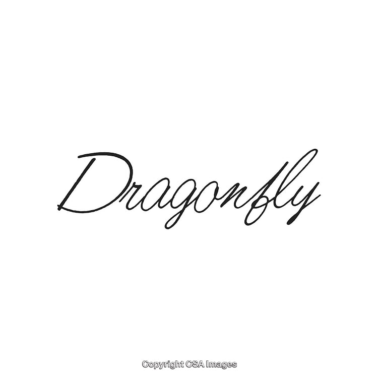 Elegant Script Typography Featuring the Word 'Dragonfly' in Black