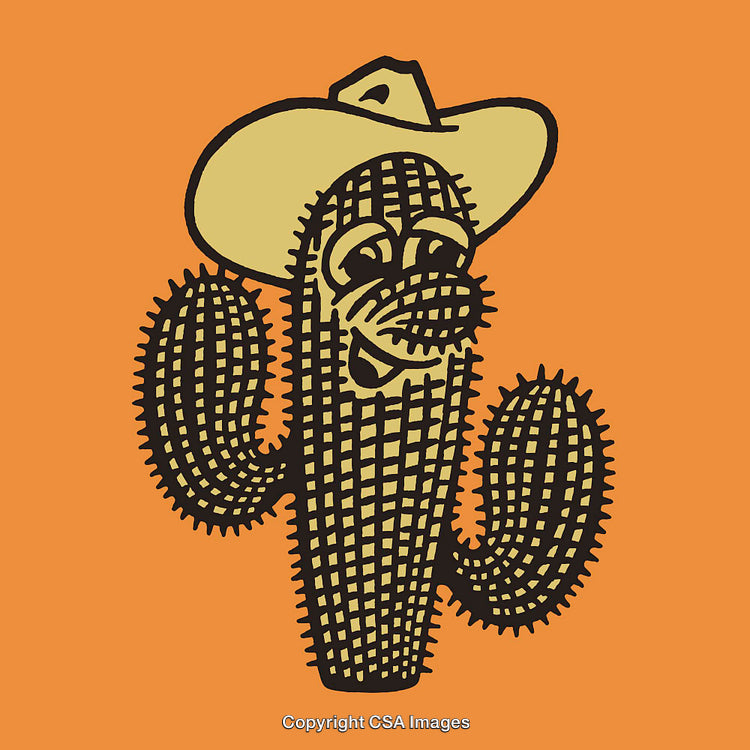 Cartoon Cactus Image with Hat and Smile on Orange Background