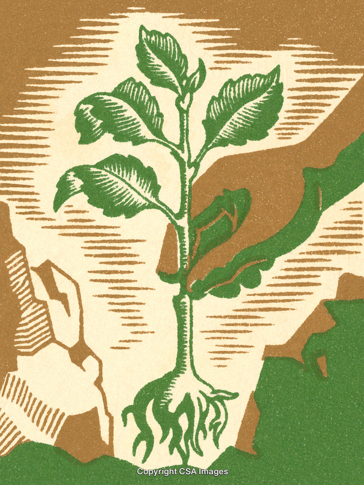 Artistic Illustration of a Hand Carefully Uprooting a Plant in the Wild