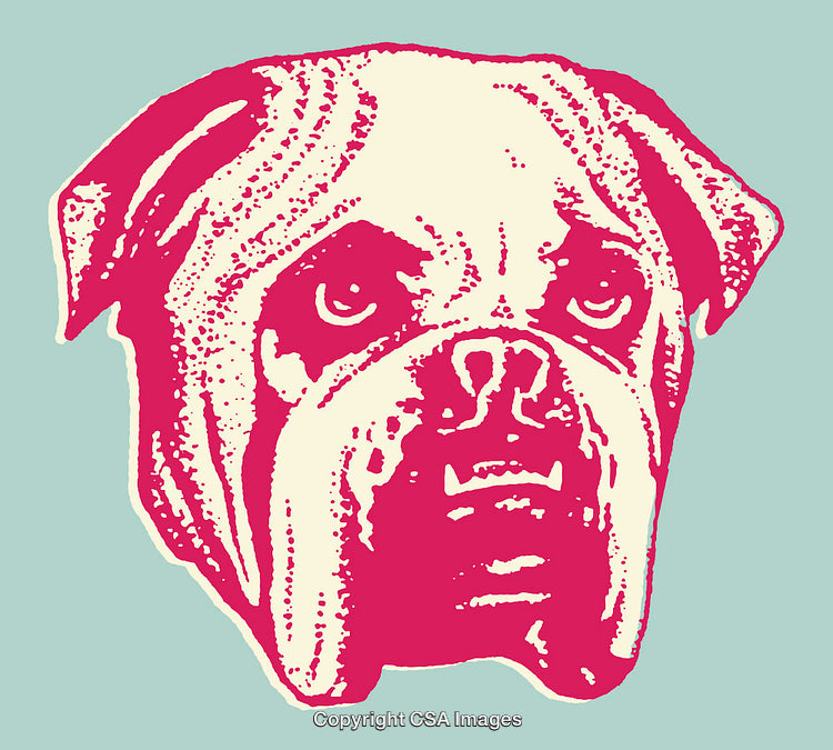 Vibrant Line Art Illustration of a Dog in Pop Art Style