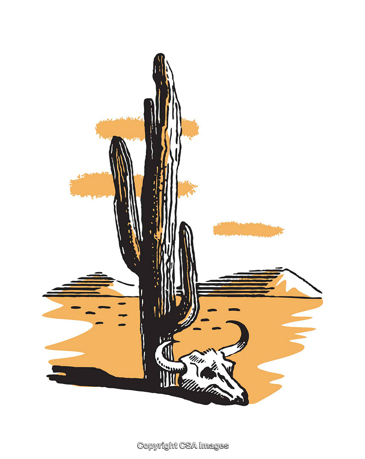 Vivid Illustration of a Desert Scene with Cactus and Skull