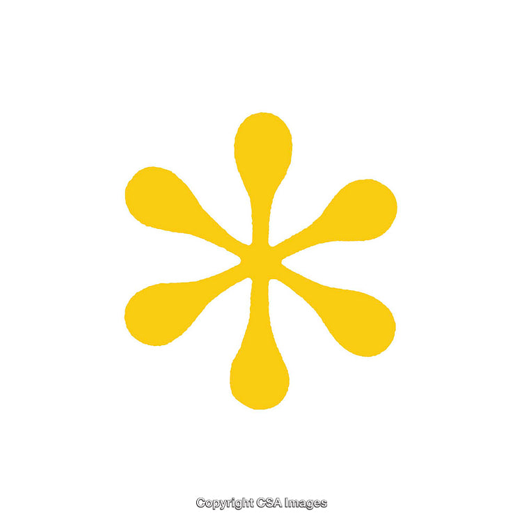 Yellow Flower Dingbat Symbol Isolated on White Background