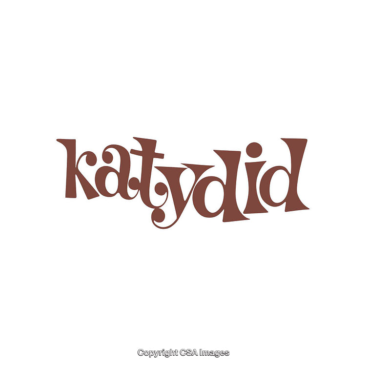 Creative Typography Logo with Stylized Text Design Element