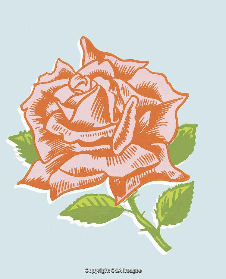 Vintage-Style Illustration of a Rose with Green Leaves on Light Background