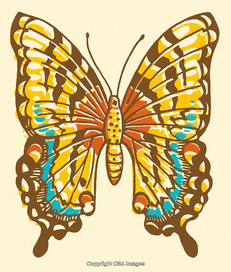 Colorful Illustration of a Butterfly Featuring Intricate Artistic Patterns