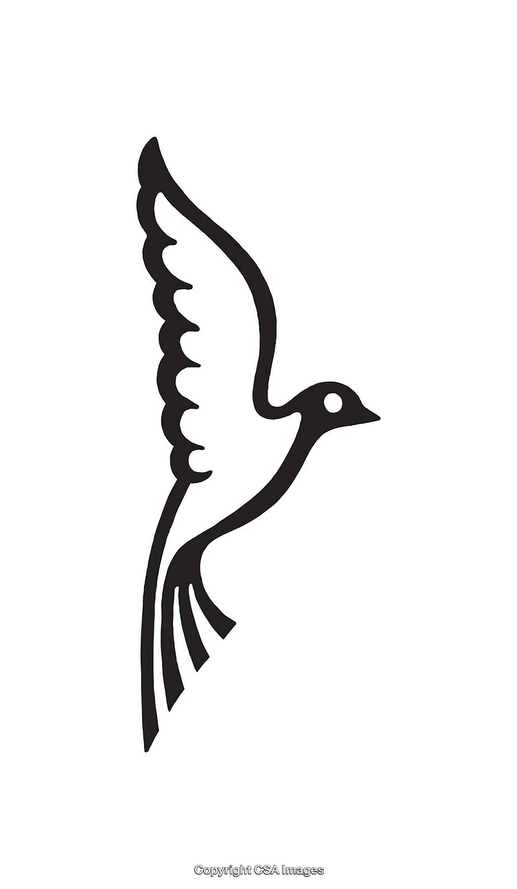Minimalistic Black and White Line Art Illustration of a Bird in Flight