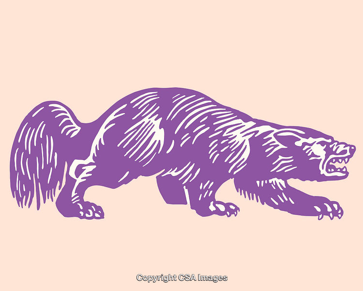 Purple Illustration of an Aggressive Animal on Pastel Background