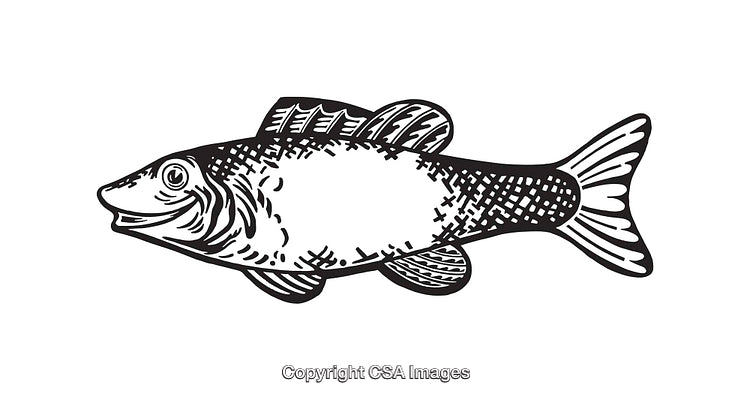 Black and White Line Art Illustration of a Fish Design