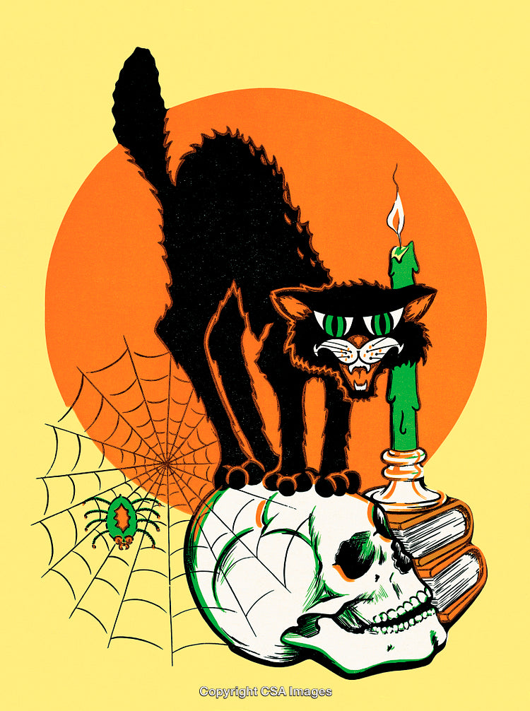 Illustrated Black Cat on Skull with Candle and Halloween Spider Web
