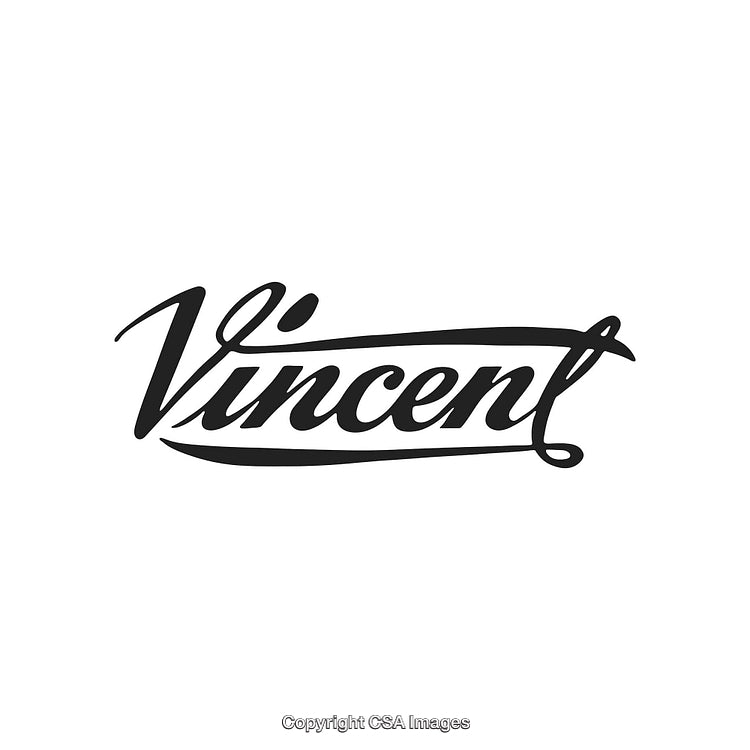 Stylized Black Vincent Name Typography on White Background