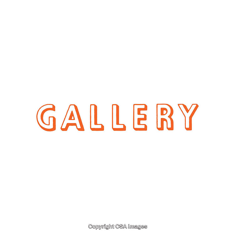 Orange Bold Text Spelling 'Gallery' on a White Background