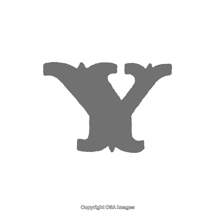 Elegant Gray Letter Y with Decorative Serif Style on White Background