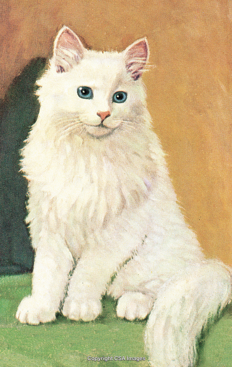 Majestic White Cat With Blue Eyes Sitting on a Green Surface