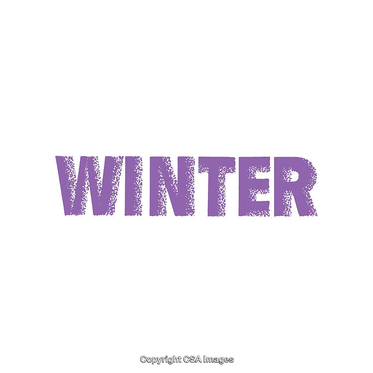 Vibrant Purple Winter Text on Minimalist White Background