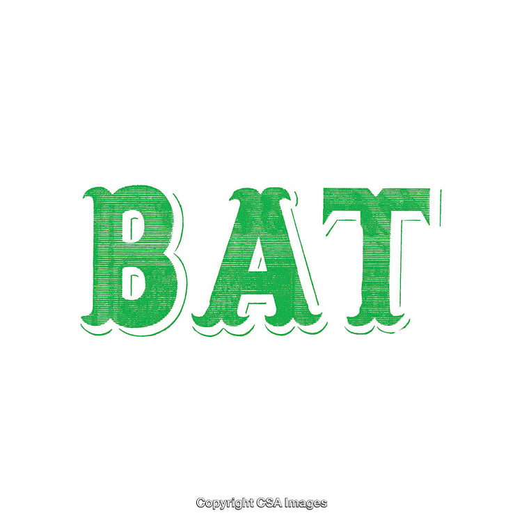Green Text Illustration of the Word 'Bat' on White Background