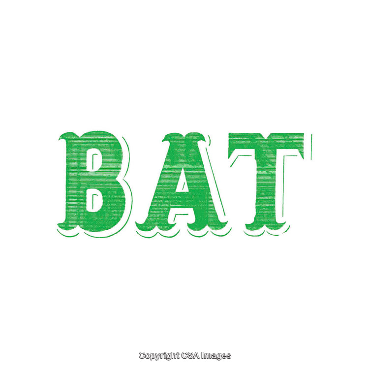 Green Text Illustration of the Word 'Bat' on White Background