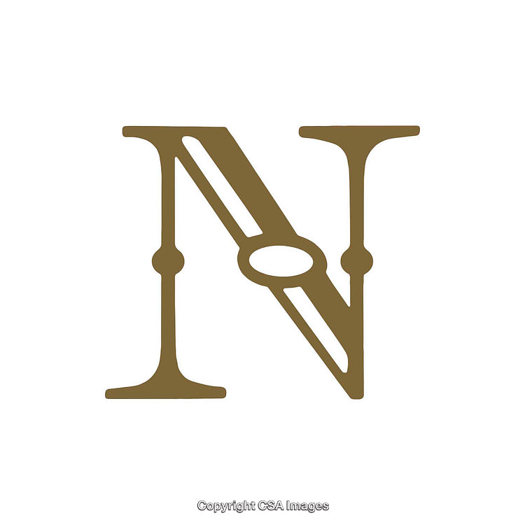 Elegant Illustration of the Letter N in Vintage Decorative Style