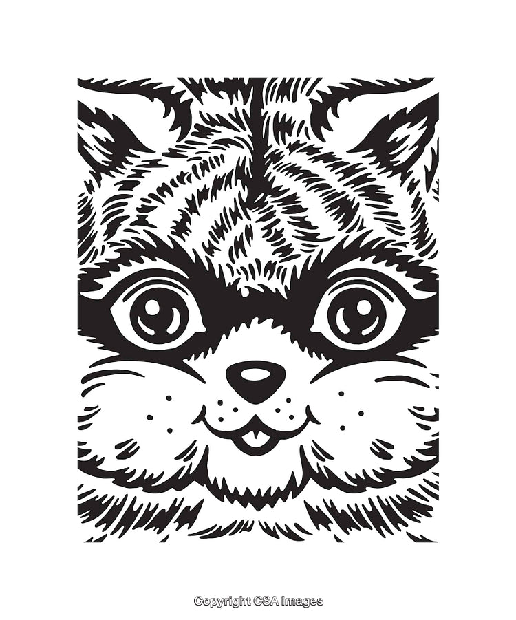 Black and White Line Art Illustration of an Expressive Cat Face Design