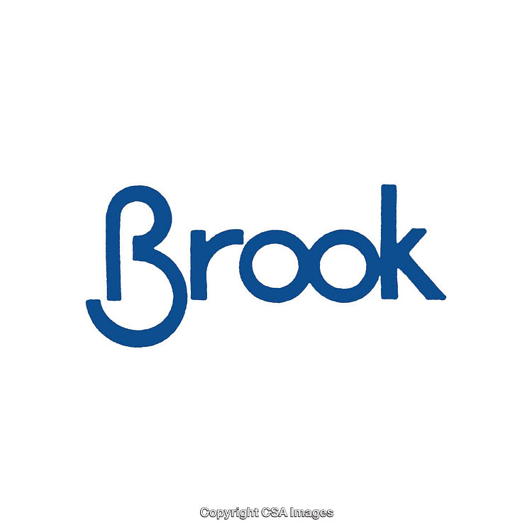 Blue Brook Logo with Simple Font on White Background