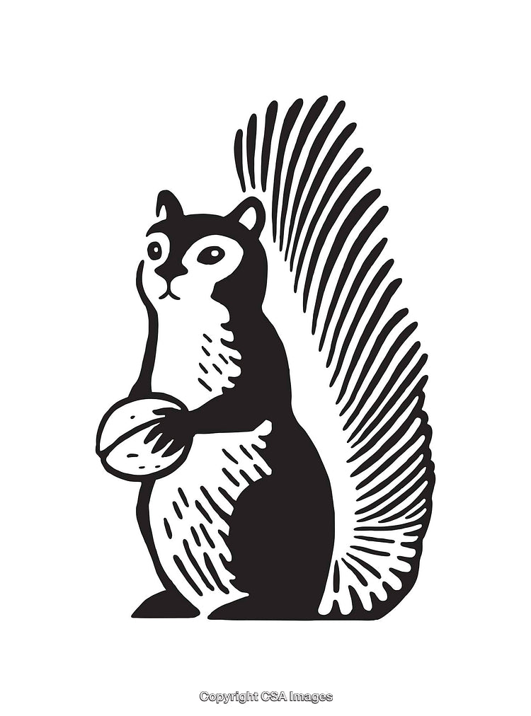 Black and White Line Art Illustration of a Squirrel Holding a Nut