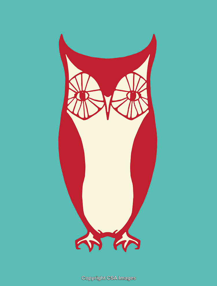 Colorful Stylized Owl Illustration With Geometric Features on a Vibrant Background